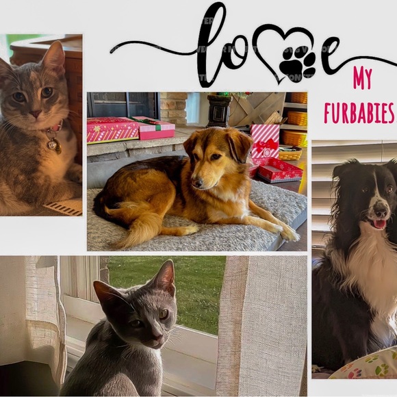 Meet your Posher, Mary - Picture 6 of 8